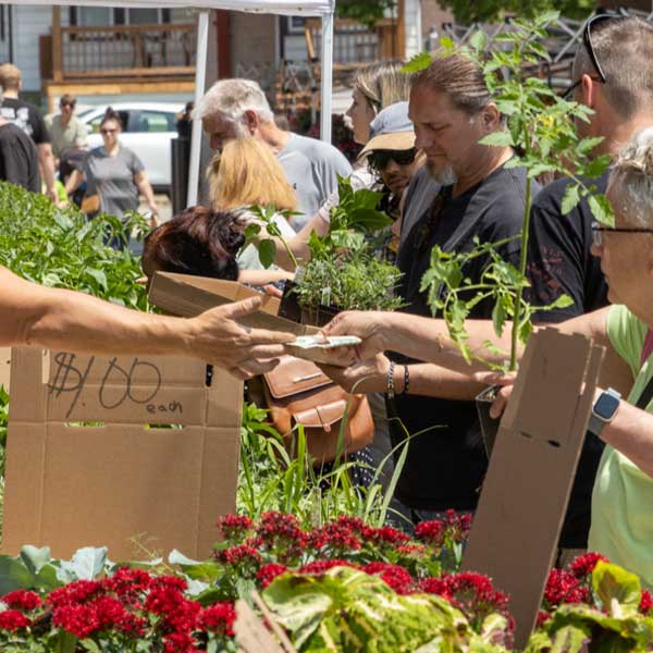 West Allis Farmers Market